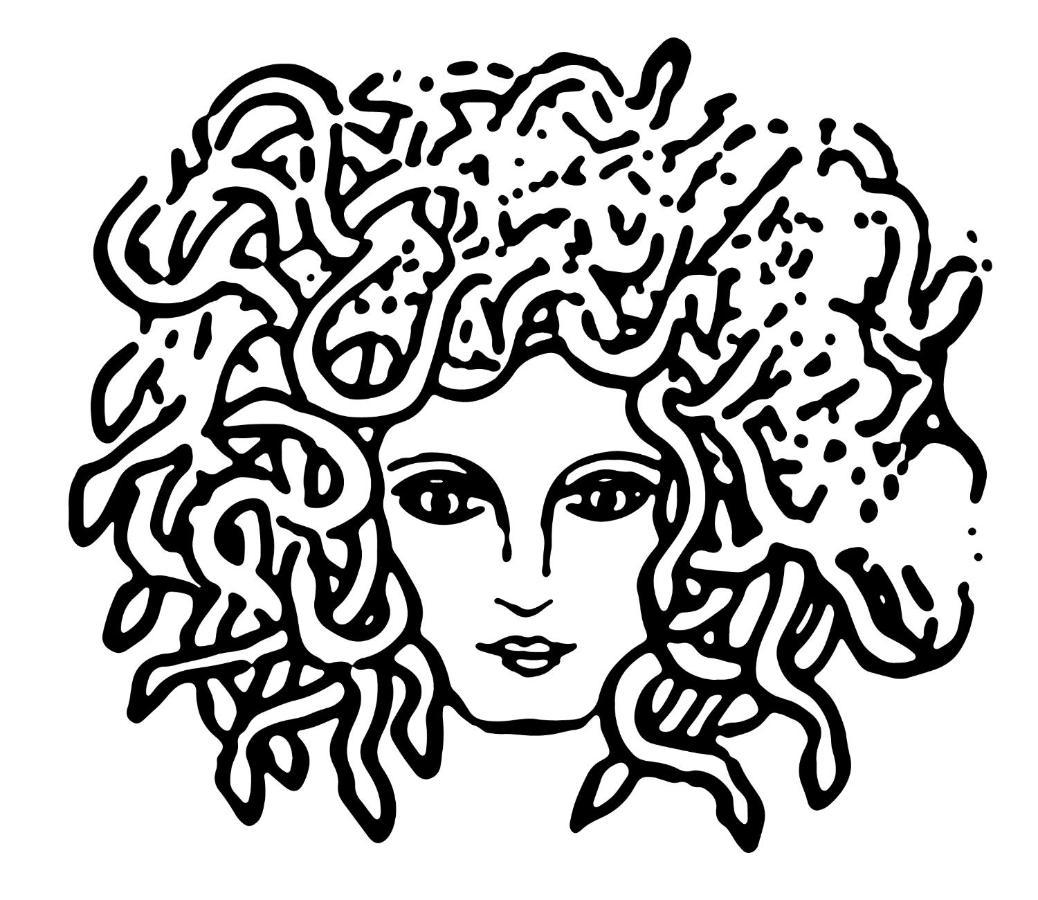 נאפולי Medusa Duomo Guest House מראה חיצוני תמונה